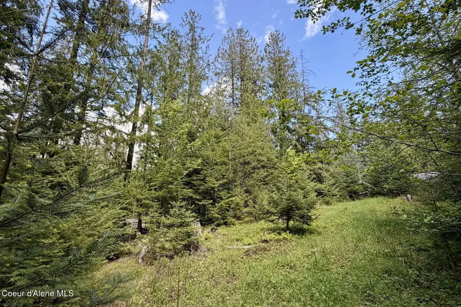 NNA Lot 4 Silver Reef Rd, Sagle, ID 83860 - #2