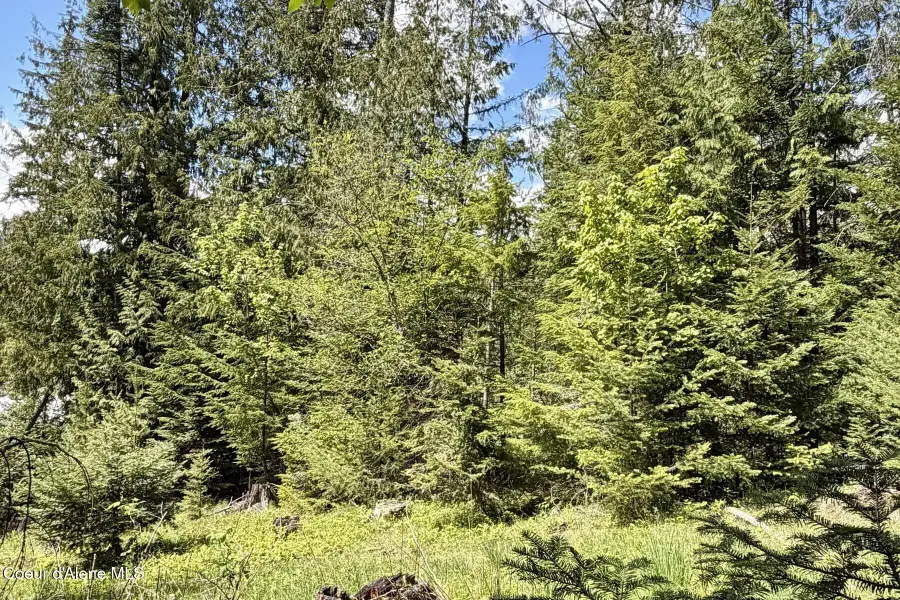 NNA Lot 4 Silver Reef Rd, Sagle, ID 83860 - #3
