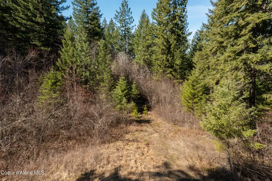 NNA Timberland Drive Lot 4, Saint Maries, ID 83861 - #3