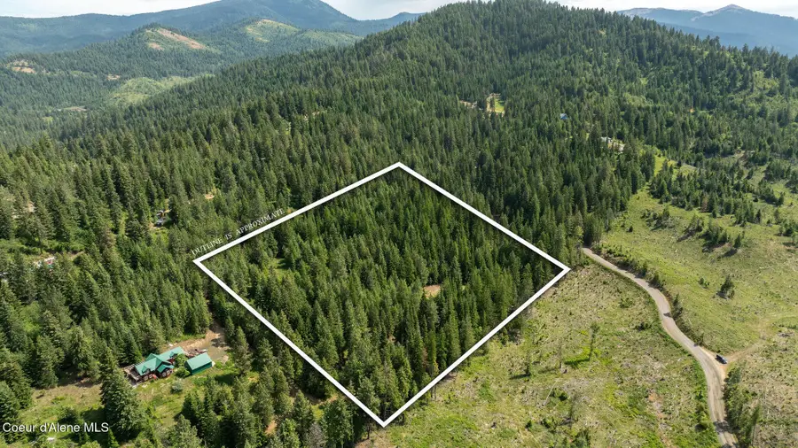 3232 Hells Gulch RD, Saint Maries, ID 83861 - #2
