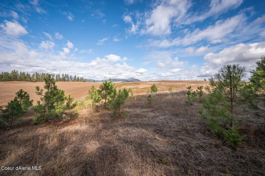 NKA 10AC Becky Lane, Worley, ID 83876 - #3