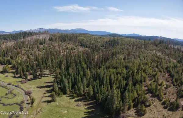 NKA Park Road 100 acres, Elk River, ID 83827