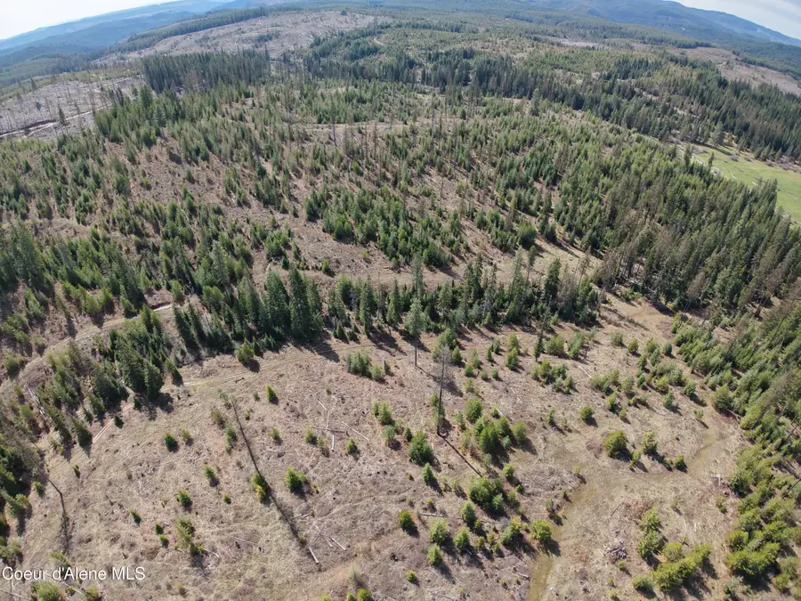 NKA Park Road 100 acres, Elk River, ID 83827 - #3