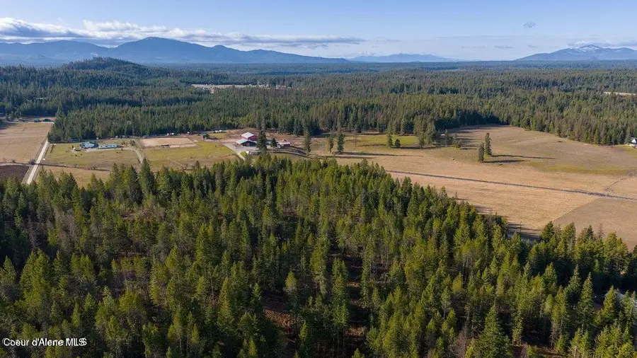 NKA Abundant Life (Lot 3) Court, Athol, ID 83801 - #3