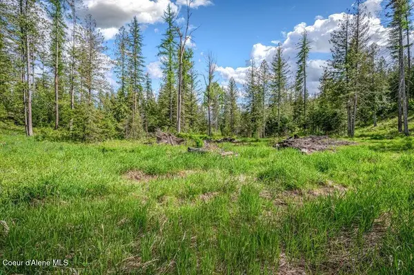 NNA Oleander Dr., Sandpoint, ID 83864