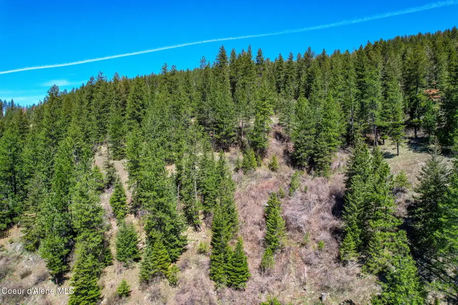 NNA Canary Creek Rd, Cataldo, ID 83810 - Image #2