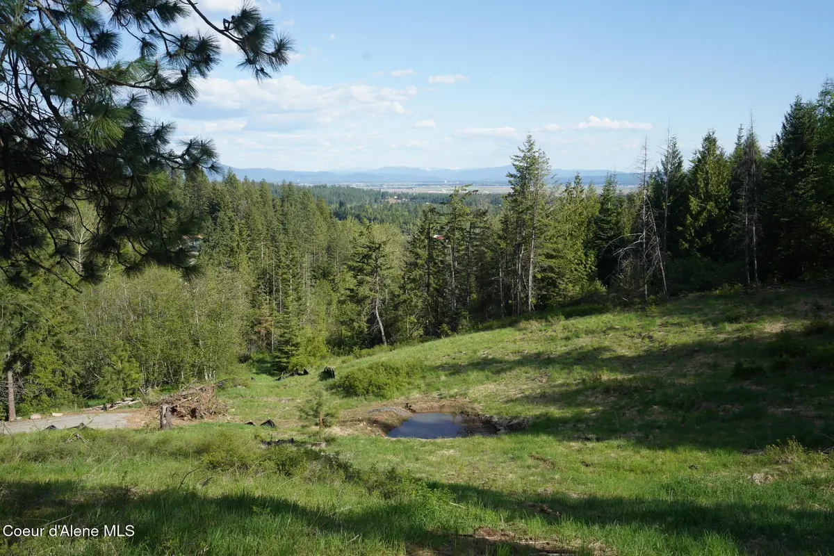 NNA W Biggs Rd. Lot 1, Rathdrum, ID 83858 - #1