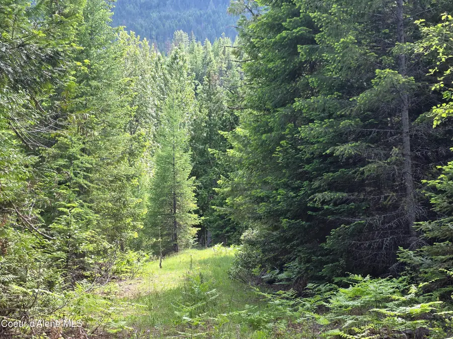 5784 River RD, Clark Fork, ID 83811 - #2