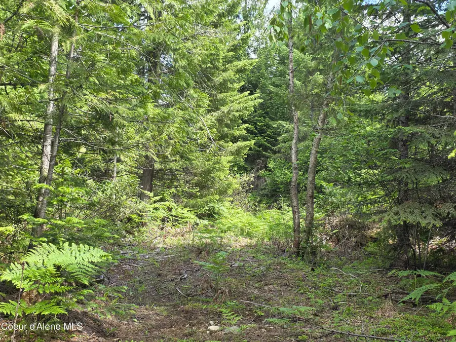 5784 River RD, Clark Fork, ID 83811 - #3