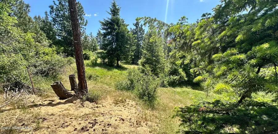 Mullan Trail Road, Coeur Dalene, ID 83814 - #2