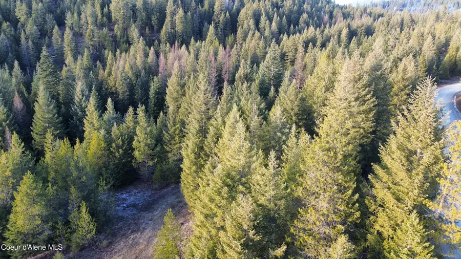 L6 B1 KELSO WOODS DR, Athol, ID 83801 - #2