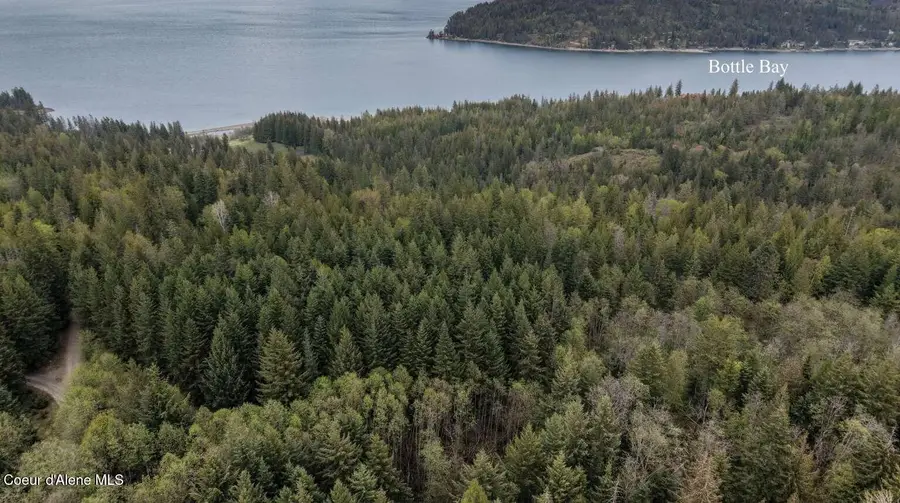 89 Lynx Run RD, Sagle, ID 83860 - #2
