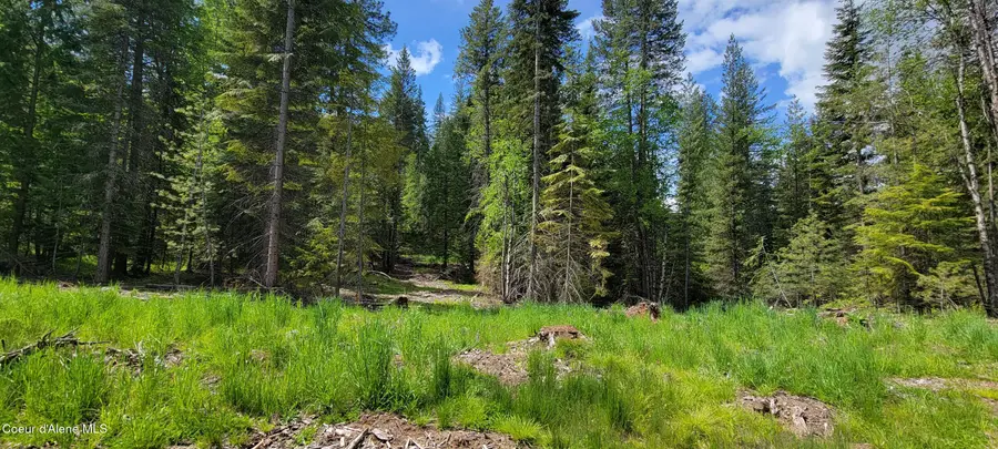 NNA Pup Paw Trail - North, Priest River, ID 83856 - #2