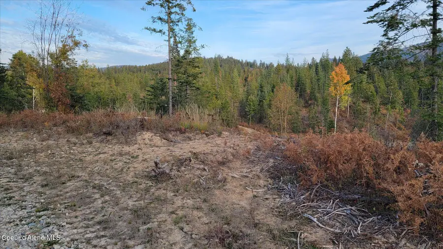Lot 2 Pioneer LN, Priest River, ID 83856 - #2