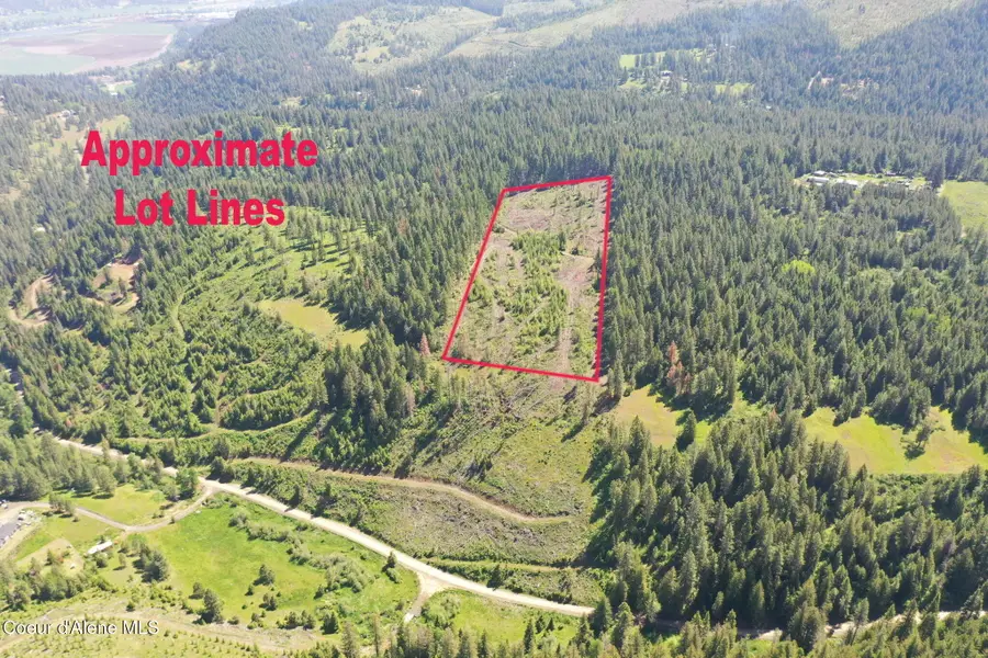 NKA Trinity lane, Saint Maries, ID 83861 - #2