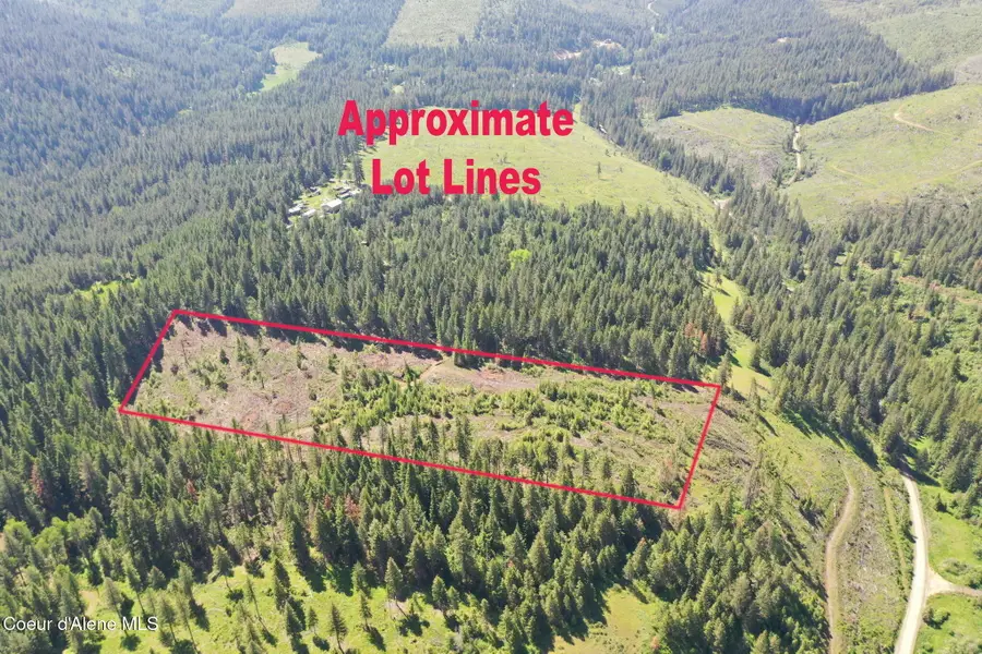 NKA Trinity lane, Saint Maries, ID 83861 - #3