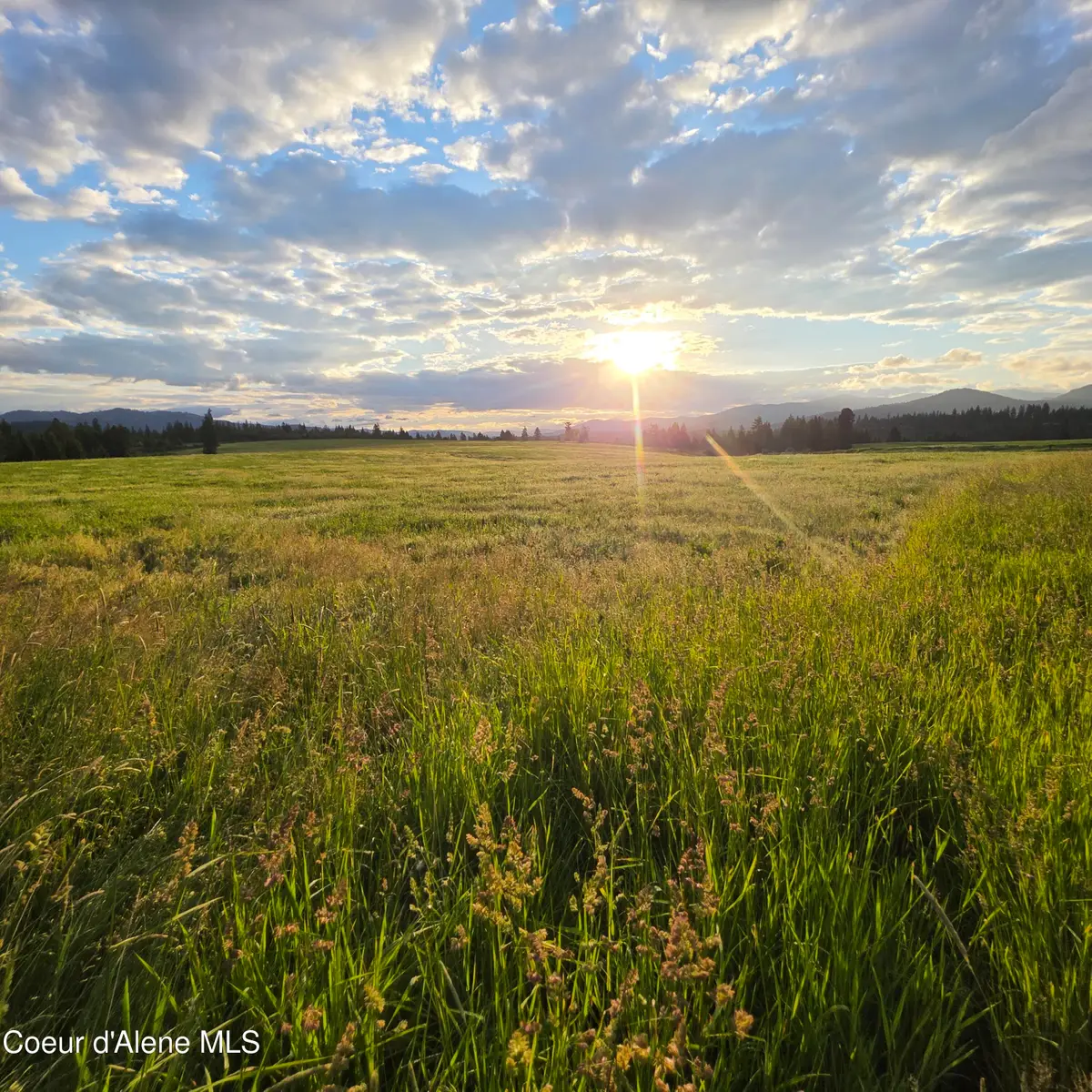 NKA 1 Sunrise Dr, Harrison, ID 83833 - #1