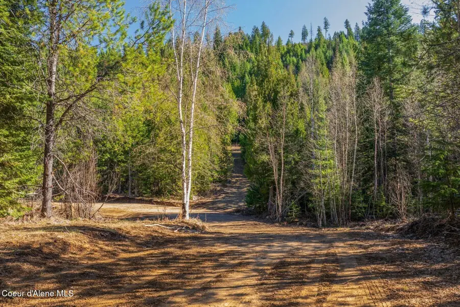 Lot 1 Cedar Acres, Priest River, ID 83856 - #3