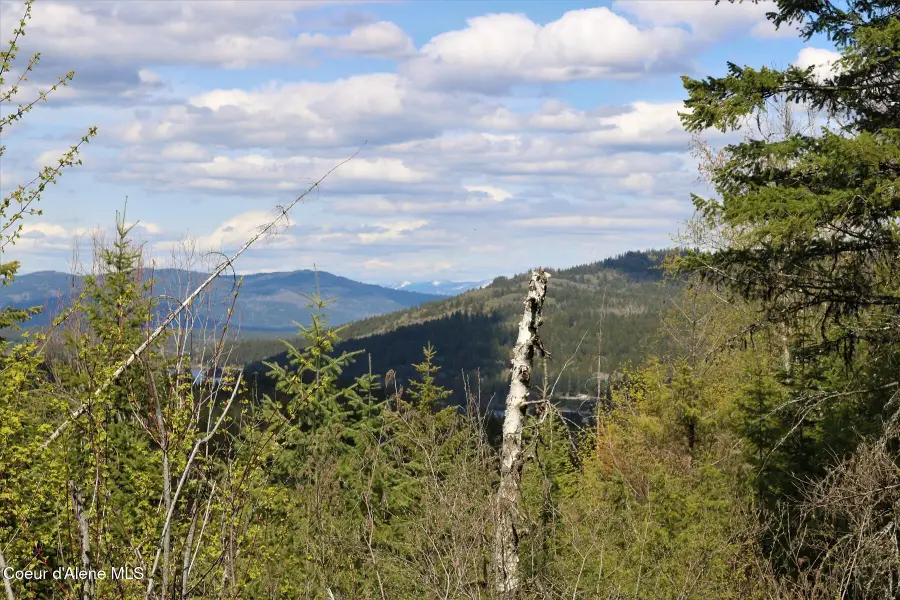 500 Outlook Dr, Cocolalla, ID 83813 - #3