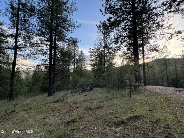 NKA(Lot 3) Baby Cougar Lane, Coeur d'Alene, ID 83815