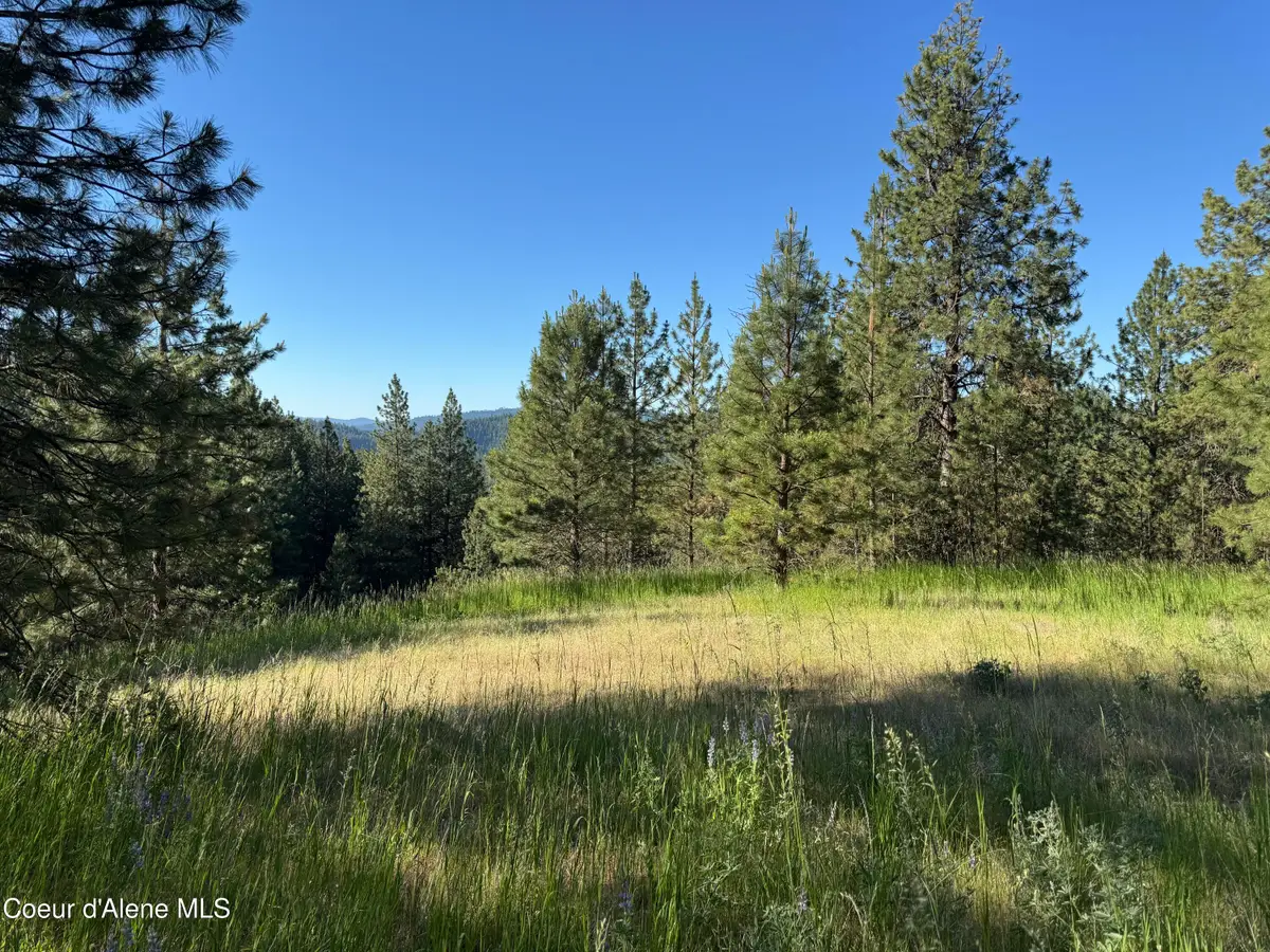 NKA(Lot 2) S Reynolds Rd, Coeur Dalene, ID 83815 - #1