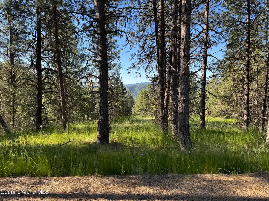 NKA(Lot 2) S Reynolds Rd, Coeur Dalene, ID 83815 - #2