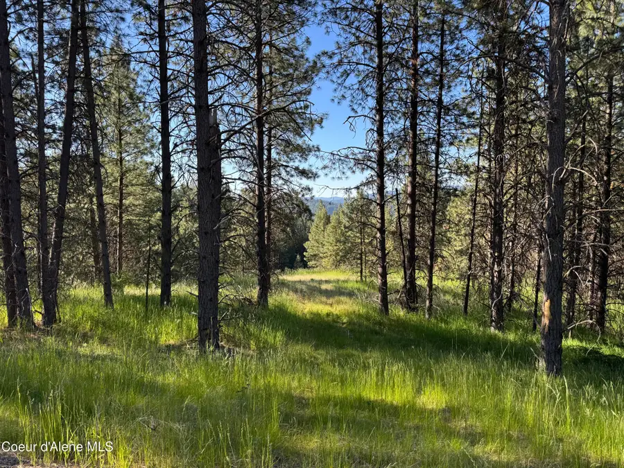 NKA(Lot 2) S Reynolds Rd, Coeur Dalene, ID 83815 - #3