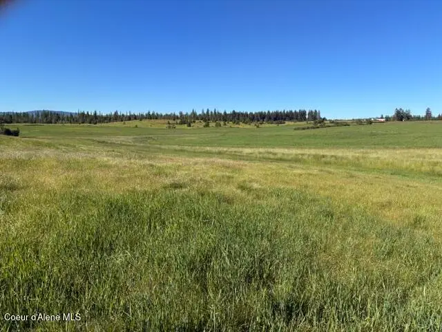 E Van Dusen Rd, Harrison, ID 83833 - #3