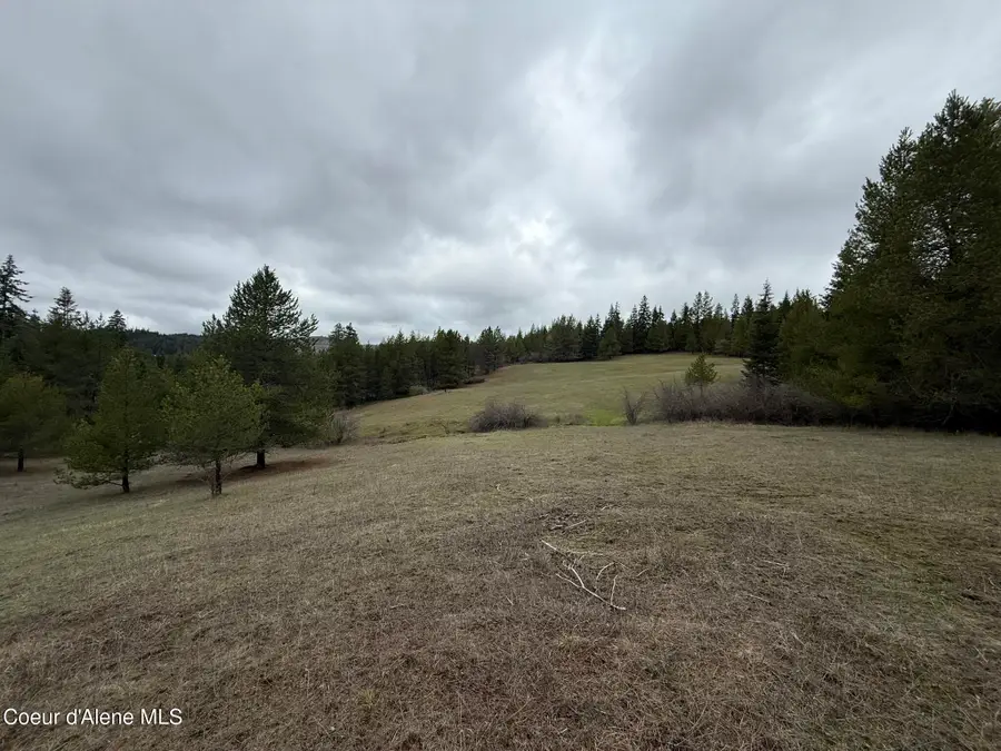 NKA Owl Creek Ln, Saint Maries, ID 83861 - #2