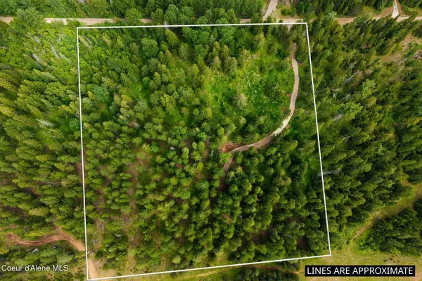 NKA Cedar Springs Rd, Sandpoint, ID 83864
