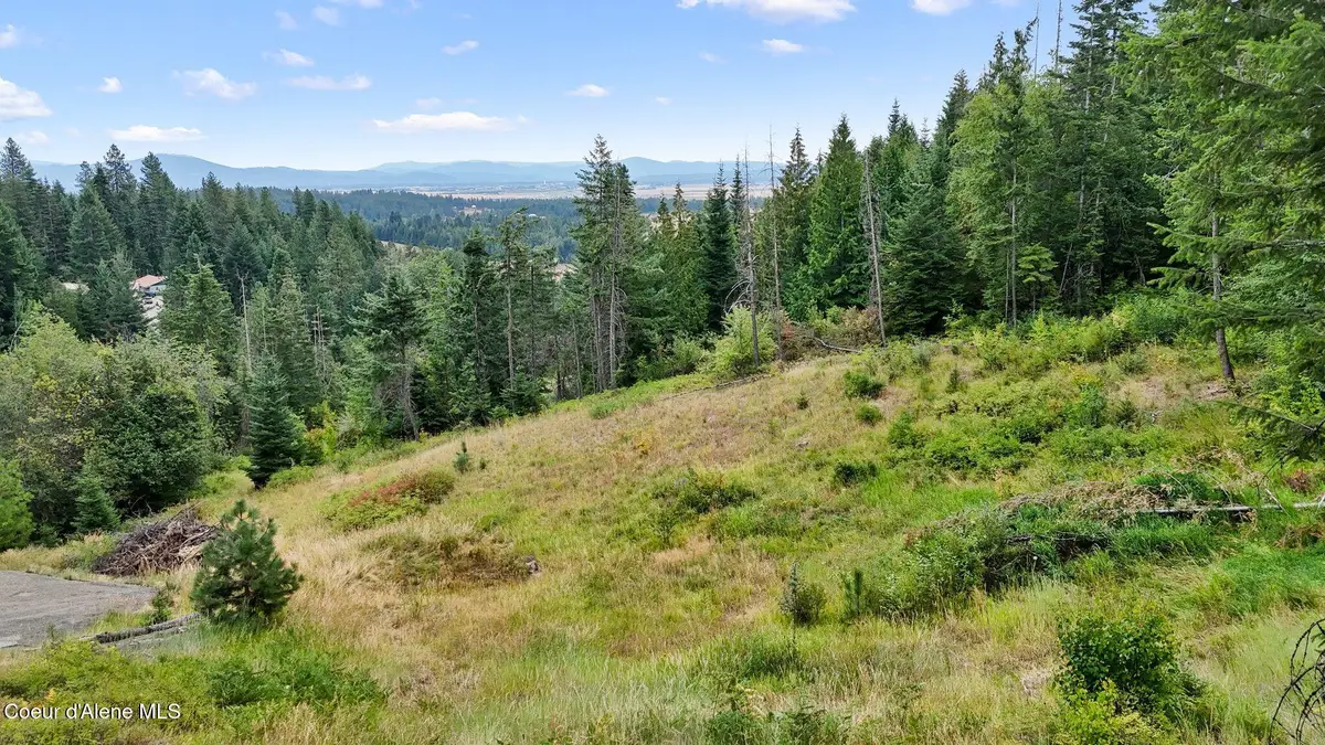 NNA W Biggs Rd. Lot 1, Rathdrum, ID 83858 - #1