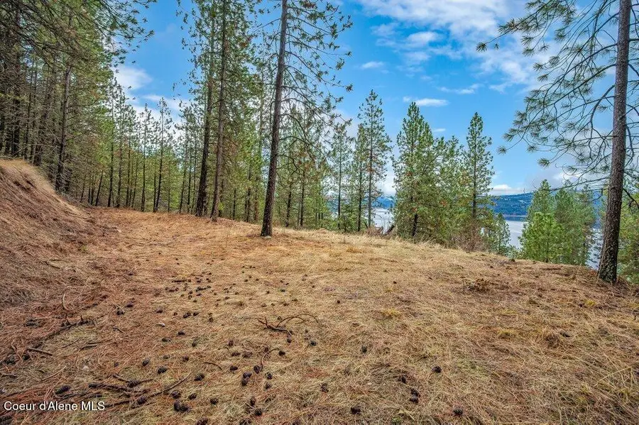 NNA E Crows Nest Rd, Harrison, ID 83833 - #3