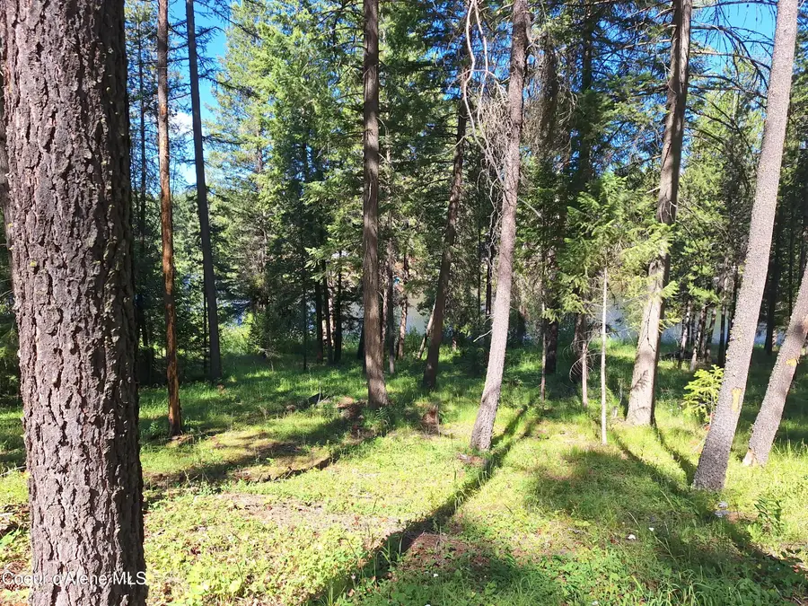NNA Hanaford Rd Blk 3 Lot 17, Blanchard, ID 83804 - #3