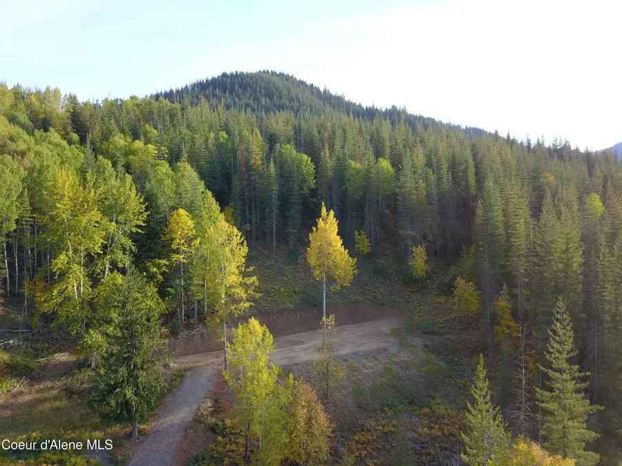 928 Polaris Peak Rd Lot 2, Kellogg, ID 83837 - #2