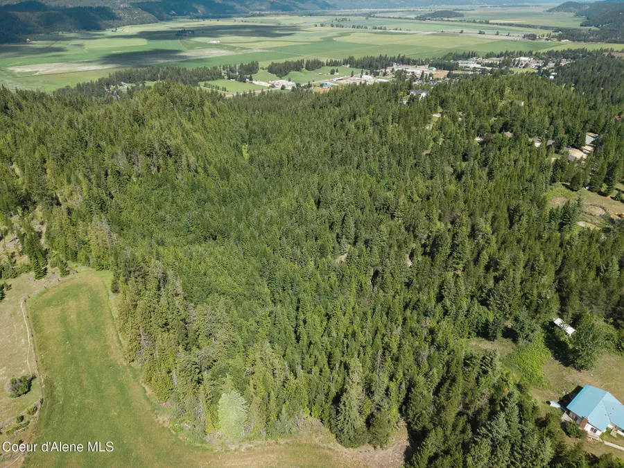 NNA Treetop Bluff, Bonners Ferry, ID 83805 - #3