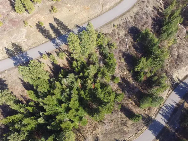 L135 E Echo Canyon Ct, Harrison, ID 83833