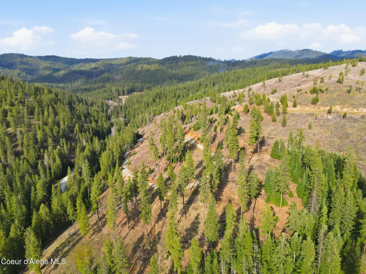 2304 S Blue Creek Rd (Lot 1), Coeur Dalene, ID 83814 - #1