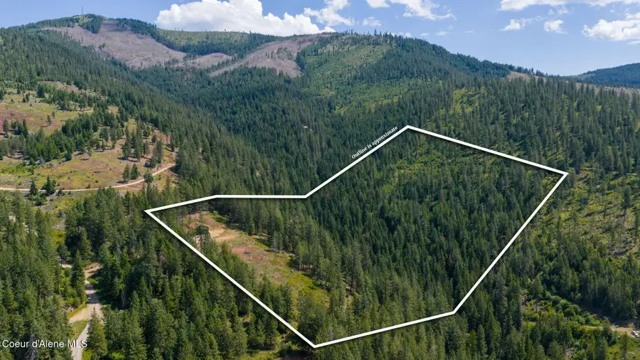 2089 Tower Mountain RD, Blanchard, ID 83804 - #2