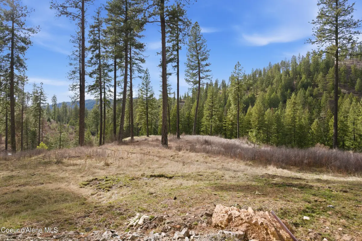 2304 S Blue Creek Rd (Lot 4), Coeur Dalene, ID 83814 - #1