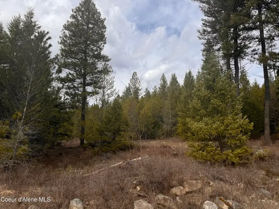 NKA E LOWLAND DR, Athol, ID 83801 - #3