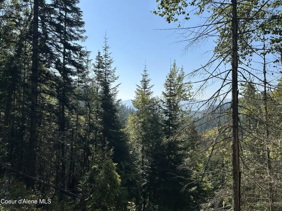 Tract 3 USFS 2294, Clark Fork, ID 83811 - Image #3