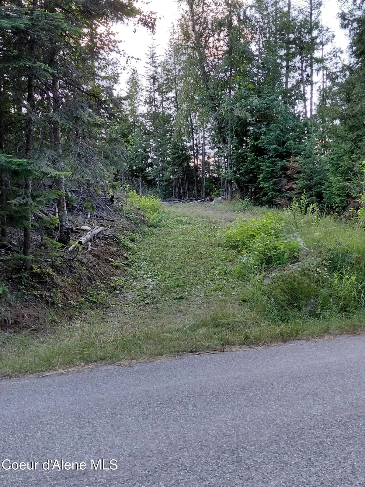 9782 Bottle Bay RD, Sagle, ID 83860 - #1