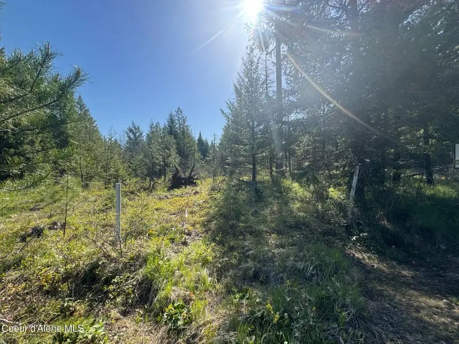 NKA Backroads Way Lot 2, Priest River, ID 83856 - #3