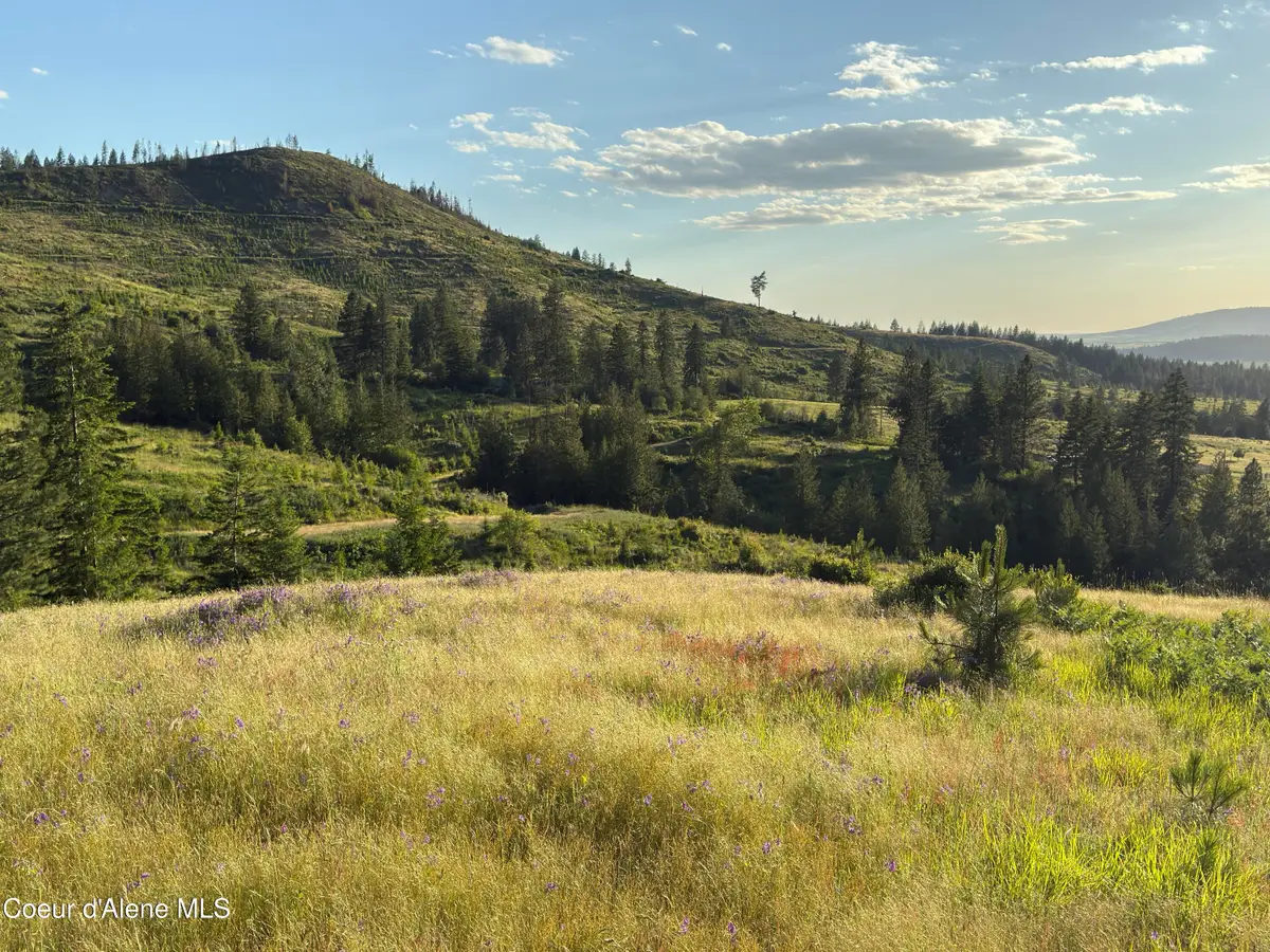 NNA Windfall Pass Rd., Plummer, ID 83851 - #1