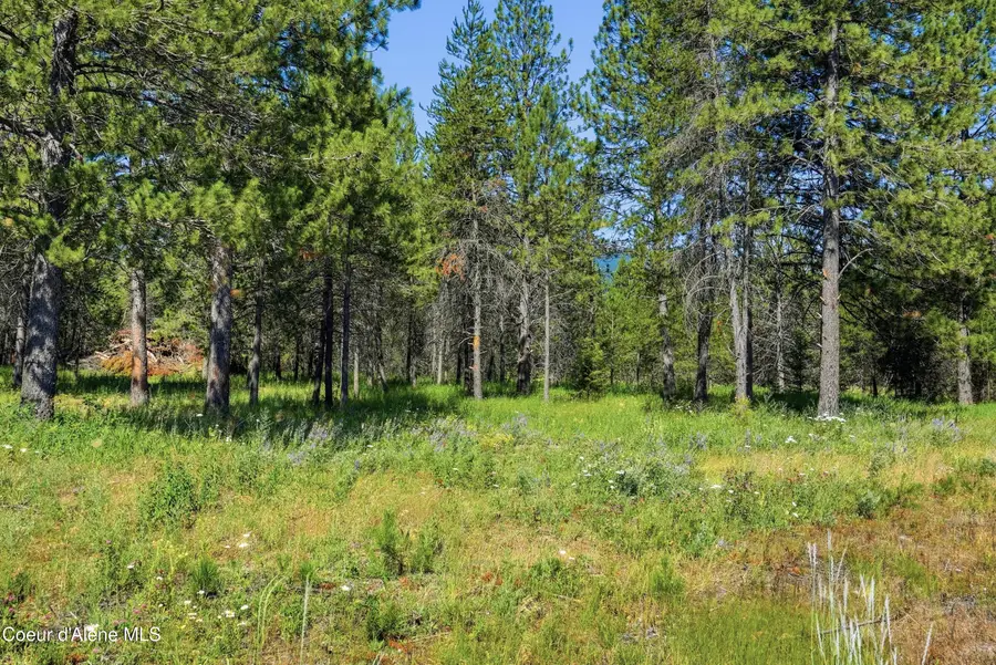 43XX Flatwoods Loop, Rathdrum, ID 83858 - #2