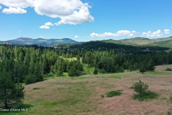 Parcel 500 Owl Creek Ln, Emida, ID 83861
