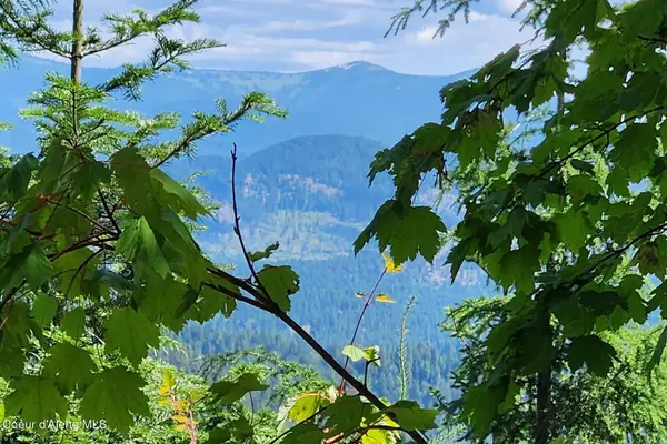 718 Slippery Slope Lot 1, Priest River, ID 83856