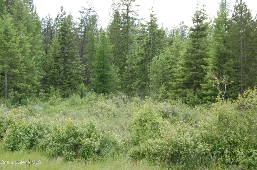 NNA Good Hope Road, Athol, ID 83801 - #2