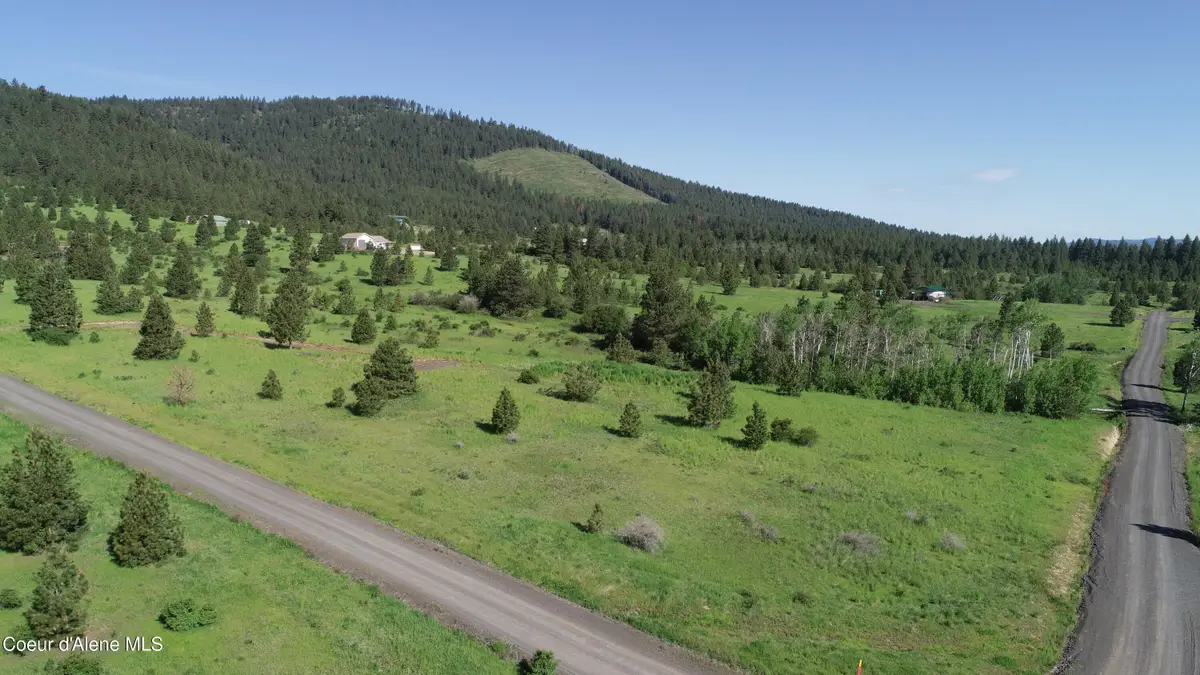404 Vine Maple Rd, Desmet, ID 83824 - #1