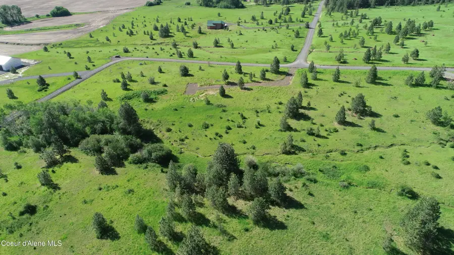 404 Vine Maple Rd, Desmet, ID 83824 - #3